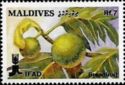 Breadfruit
