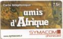 Amis d'Afrique - New Layout (Big Logo)