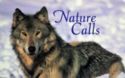 Nature Calls - Wolf