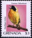 Common Yellowthroat (Geothlypis trichas)