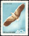 Steller's Sea Eagle (Haliaetus pelagicus)