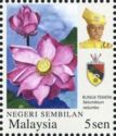 Nelumbium nelumbo (with Portrait of Sultan Muhriz)