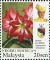 Hippeastrum reticulatum (with Portrait of Sultan Muhriz)