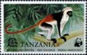 Zanzibar Red Colobus (Piliocolobus kirkii)