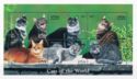 Cats of the World