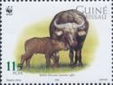 Cape Buffalo (Syncerus caffer)