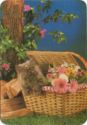 Kitten in a Basket with Flowers