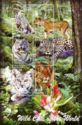 Wild cats of the World