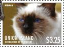 Birman (Felis silvestris catus)