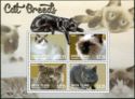 Cat breeds