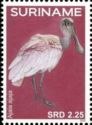 Roseate spoonbill (Ajaia ajaja)