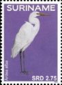 Great Egret (Ardea alba)