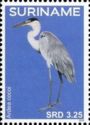 Cocoi Heron (Ardea cocoi)