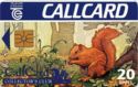 CallCard Collector's Club - Squirrel