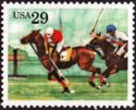 Polo, Horse (Equus ferus caballus)
