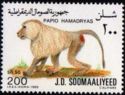 Hamadryas Baboon (Papio hamadryas)