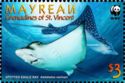 Spotted eagle ray (Aetobatus narinari)