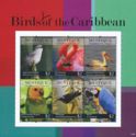 Birds of the Caribbean