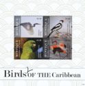 Birds of the Caribbean