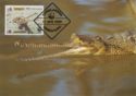 Gharial (Gavialis gangeticus)