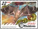 Lesser Long-nosed Bat (Leptonycteris yerbabuenae)
