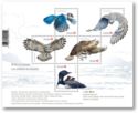 Birds of Canada: Sheet of 5 stamps