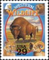 Western Wildlife - American Bison (Bos bison)