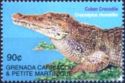 Cuban crocodile (Crocodylus rhombifer)