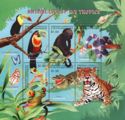 Animals of the Tropics