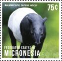 Malayan Tapir (Tapirus indicus)