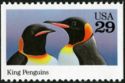 King Penguin (Aptenodytes patagonicus)