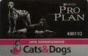 Cats & Dogs (Pro Plan)