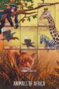 Animals of Africa