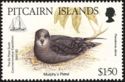 Murphy’s Petrel (Pterodroma ultima)
