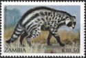 African Civet (Civettictis civetta)