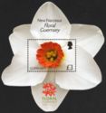 New Narcissus Variety ‘Floral Guernsey’