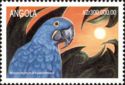 Hyacinth Macaw (Anodorhynchus hyacinthinus)