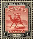 Postman with Dromedary (Camelus dromedarius)