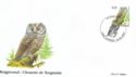 Boreal Owl (Aegolius funereus)