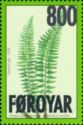 Northern Hollyfern (Polystichum lonchitis)