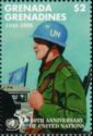 Member of UN Peacekeeping Force