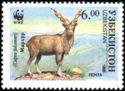 Markhor (Capra falconeri)