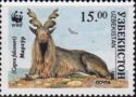 Markhor (Capra falconeri)