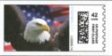 Bald Eagle (Haliaeetus leucocephalus) and Flag - First Class