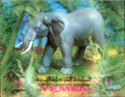 Animals 3-D Elephant