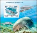 Dugongs of the Indian Ocean