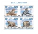 Seals of the Indian Ocean