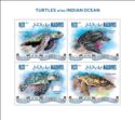 Turtles of the Indian Ocean