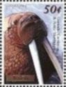 Walrus (Odobenus rosmarus)