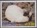 Rabbit (Oryctolagus cuniculus forma domestica)